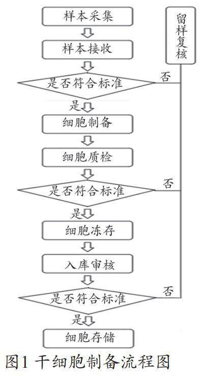 干細胞實驗室的功能設計干細胞的工作流程
